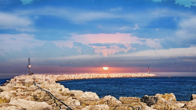 乒乓球台被胖子压坏